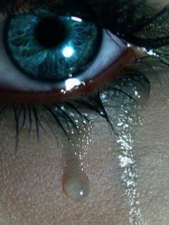 poetic cries  interpersonal expressions  tear    story