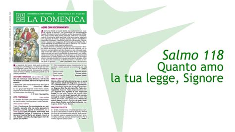 XVII Domenica Del Tempo Ordinario 30 Luglio 2023 Anno A Foglietto