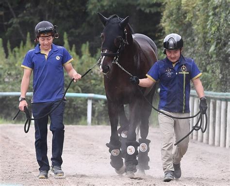 凱旋門賞に向けタイトルホルダーが帰厩競馬・レースデイリースポーツ Online