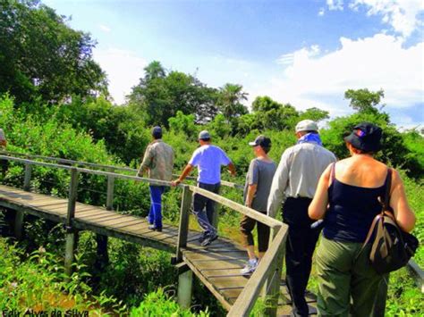 Fazenda San Francisco Bonito MS Agência Ygarapé Tour