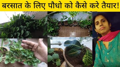 बरसात के मौसम में पौधों की देखभाल कैसे करें How To Take Care Plants