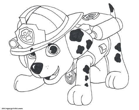 Marshall Paw Patrol Rider Coloring Pages Coloring Pages