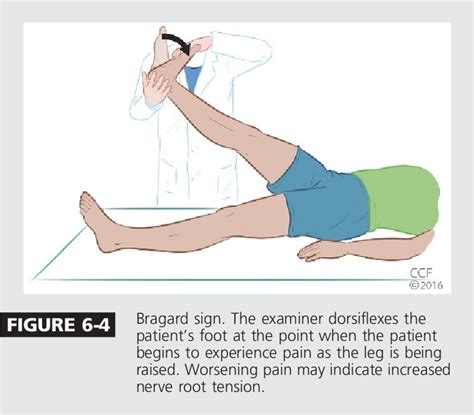 Figure 6 6 From Low Back Pain Semantic Scholar