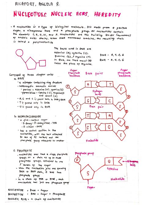 Solution Handwritten Notes Nucleotides Nucleic Acid Heredity Studypool