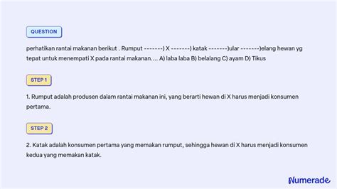 SOLVED: perhatikan rantai makanan berikut . Rumput ——-) X ——-) katak ——-)ular ——-)elang hewan yg ...