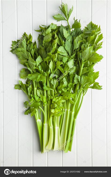 Bunch of fresh celery stalk. Stock Photo by ©jirkaejc 253721092