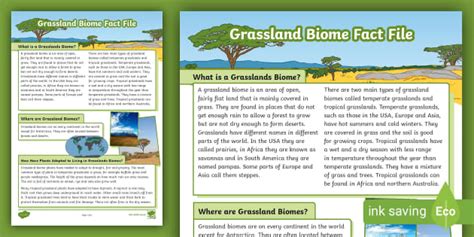 Grassland Biome Fact File | Environments and Adaptations