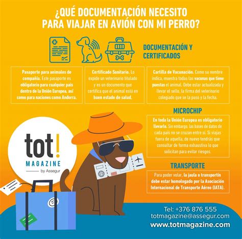 Infograf A Qu Documentaci N Necesito Para Viajar En Avi N Con Mi