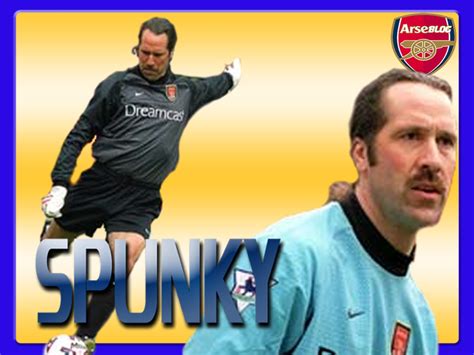 David Seaman - All About Goal Keeper