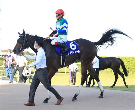 【高松宮記念】メイケイエール 坂路で土曜追い4f52秒6 スポニチ競馬web