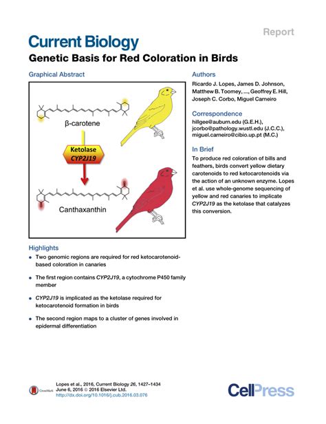 Pdf Genetic Basis For Red Coloration In Birds