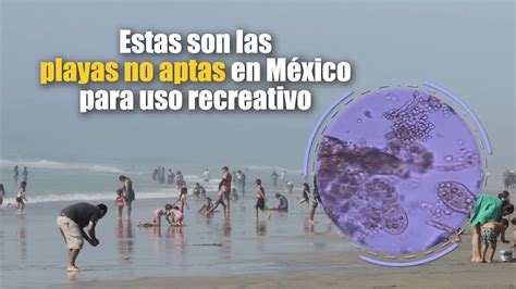 Estas son las playas de México que no son aptas para turistas El