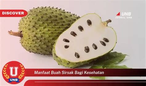 Intip Manfaat Buah Sirsak Yang Jarang Diketahui