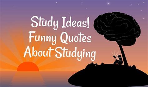 Funny Study Quotes - Exam Funny Quotes 2023