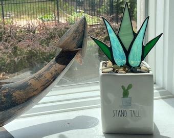 Spectacular Stained Glass Agave Aloe Potted Plant In Roseville Etsy