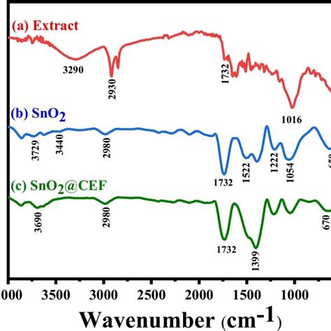 Ftir Spectra Of A Laurus Nobilis Leaves Extract B Sno2 Nanoparticles