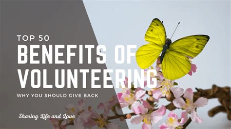 The Top 50 Benefits Of Volunteering Free Volunteer Log Sharing