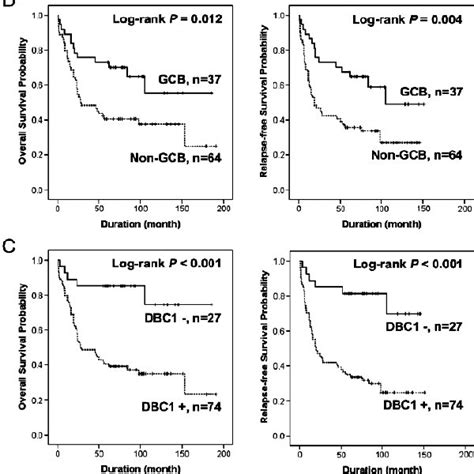 Kaplan Meier Survival Analysis In Total Dlbcl Cases Os And Rfs Of Ipi