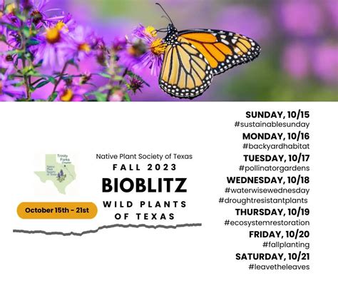 Texas Native Plant Week - Native Plant Society of Texas