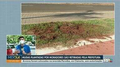 Meio Dia Paraná Noroeste Mudas plantadas por moradores de Cianorte