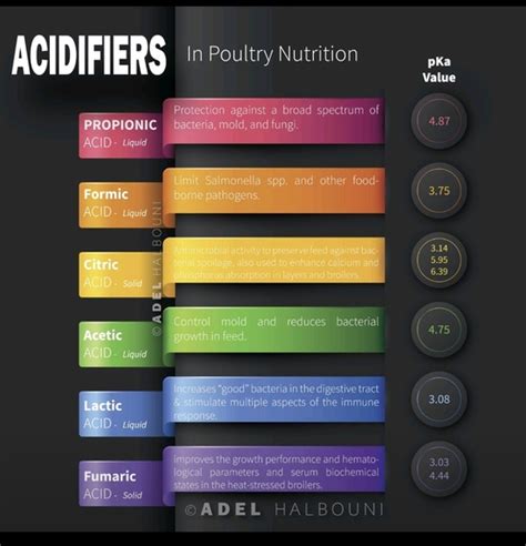 Organic acids purpose | Engormix