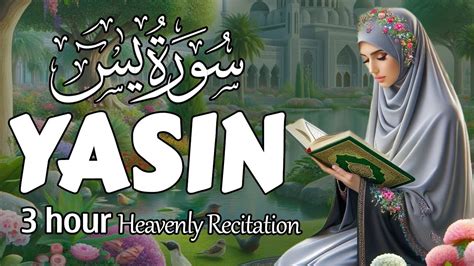 STUNNING Surah YASIN Full Calming relaxing voice سورة یس