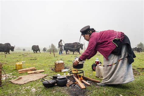 The Story Of Bhutans Yak Herders Brahmaputra News