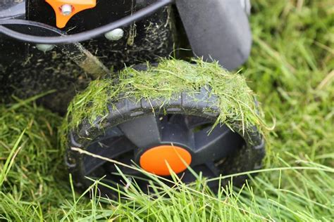 Can You Mow Wet Grass How Soon After Raining