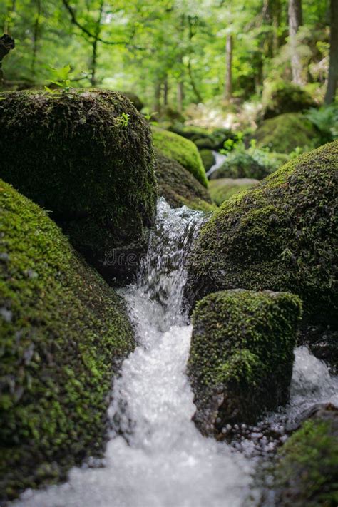 Closeup Vertical Shot Of Large Stones In The Triberg Waterfall Covered