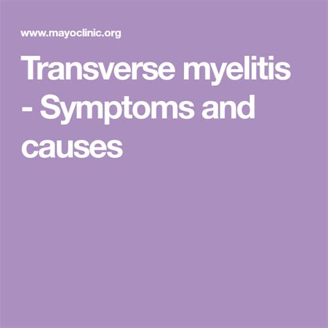 Transverse myelitis transverse myelitis symptoms causes – Artofit