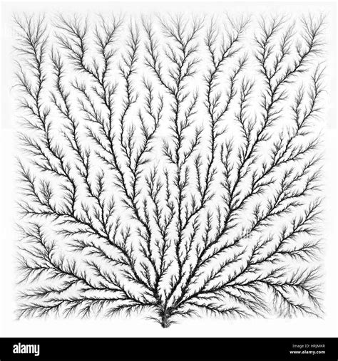 Electron Tree Or Lichtenberg Figure Stock Photo Alamy