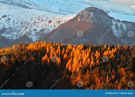 fall landscape  slovakia stock image image  pasture