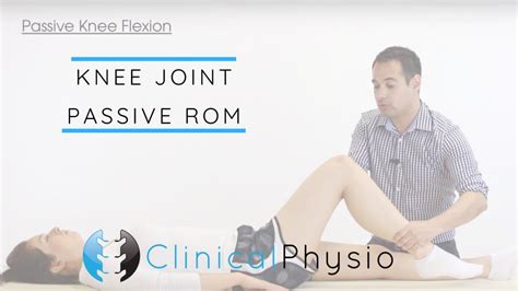 Knee | Clinical Physio