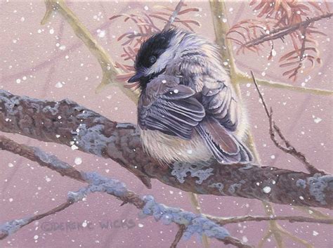 Black Capped Chickadee in Winter | Artist Forum