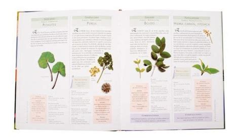 Atlas Ilustrado De Las Plantas Medicinales Libroshop