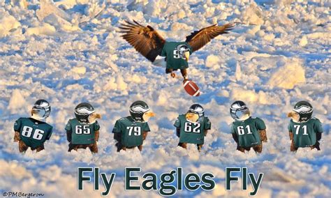 The Eagles Are Playing Football In The Snow With An Eagle Flying Over