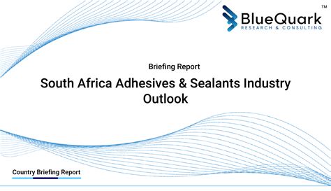 Brief Report On South Africa Adhesives Sealants Industry BlueQuark