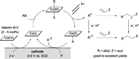 Scheme Combination Of Photo And Electrochemical Redox Catalysis For