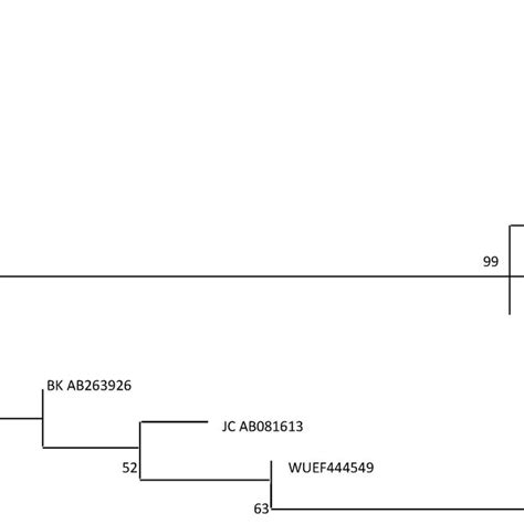 Phylogenetic Analysis Of Nucleotide Sequences Of Mcpyv Vp From Cf