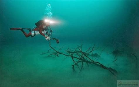 Hidden Underwater River Flowing Under The Ocean In Mexico Underwater