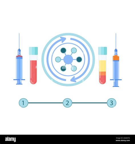 Platelet Rich Plasma Layers Of Blood In Test Tube Stock Vector