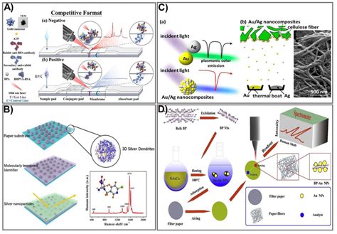 SERS Based Signal Amplification Strategies For PADs A The Schematic