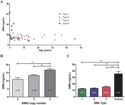 SMN protein levels in SMA patient and control whole blood samples. (A ...