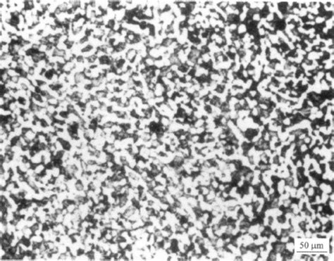 钛及钛合金 金相图谱 1 钢铁知识 常州精密钢管博客网