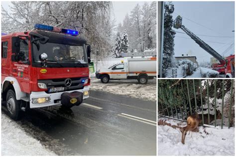 Brak Pr Du Zerwane Przewody I Powalone Drzewa Interwencji