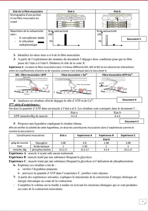 Bac Sc Exp Rimentales Sciences Svt Devoir De Contr Le Et Correction