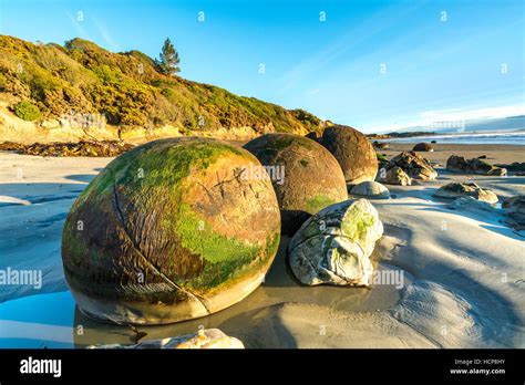 Big Rock à Moeraki Boulders Beach En Nouvelle Zélande Photo Stock Alamy