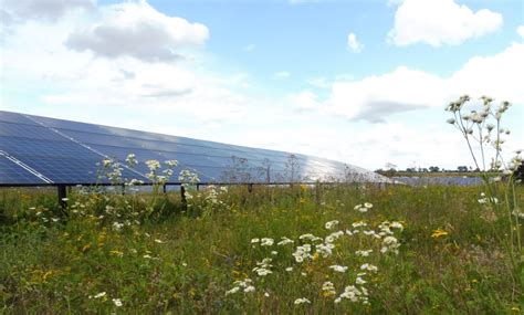 Schlagwort Grünpflege Solarpark IBC SOLAR Blog