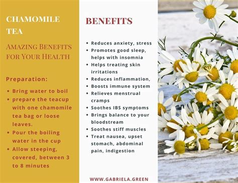 Chamomile Tea Benefits Improve Your Health Naturally