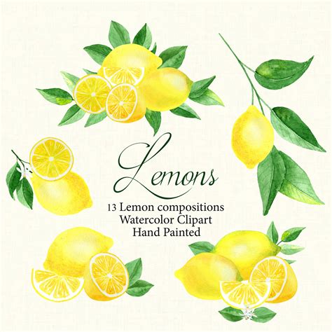 Watercolor Lemon Clipartfruit Clipartcitrus Clipartyellow Etsy